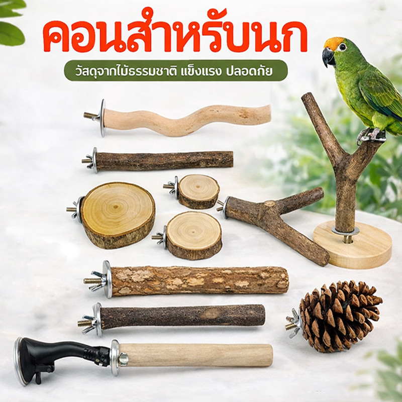 คอนลับเล็บ คอนนกแก้ว คอนกระรอก ชูก้า คอนนกใหญ่ คอนสำหรับนกแก้ว คอนนกแก้ว ไม้ธรรมชาติ100%