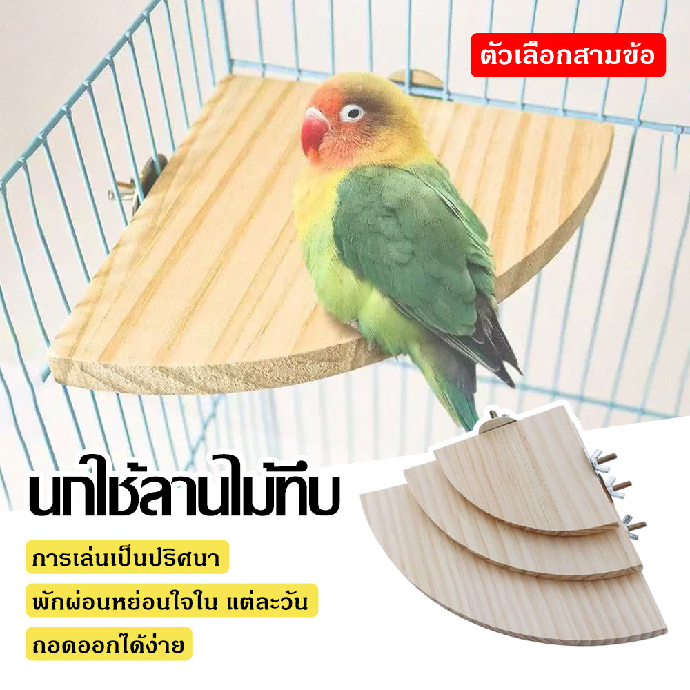 ไม้จากธรรมชาติ สำหรับนกแก้วยืน หนูแฮมสเตอร์ ชูการ์ไกรเดอร์ กระรอก ลิงมาโมเสท