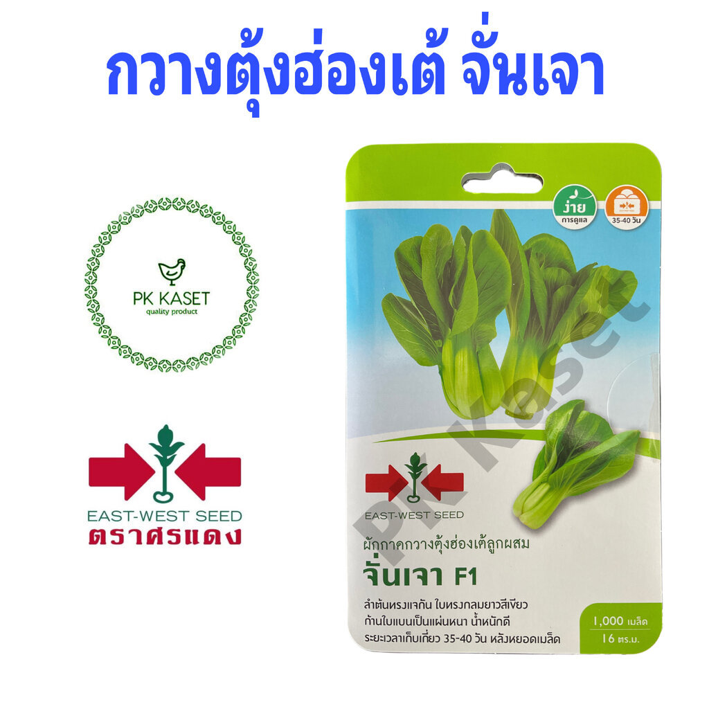เมล็ดกวางตุ้งฮ่องเต้ลูกผสม จั่นเจา ตราศรแดง ซองแข็ง 1,000 เมล็ด ผักสวนครัว