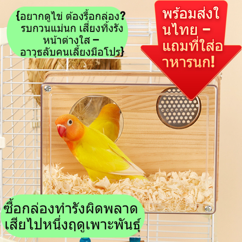 กล่องทำรังนกใสเกรดพรีเมียม ถอดล้างง่าย เห็นไข่ชัด ไม่รบกวนแม่นก เหมาะนกคอกคาเทล-หงส์หยก-เลิฟเบิร์ด มีสต็อกไทย