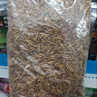 ถูกชัวร์ ถูกจริง หนอนนก 🚀อบแห้ง🚀 500g. คุณภาพดี เหมาะ สำหรับเป็นอาหารสัตว์เลี้ยงแสนรักของท่าน