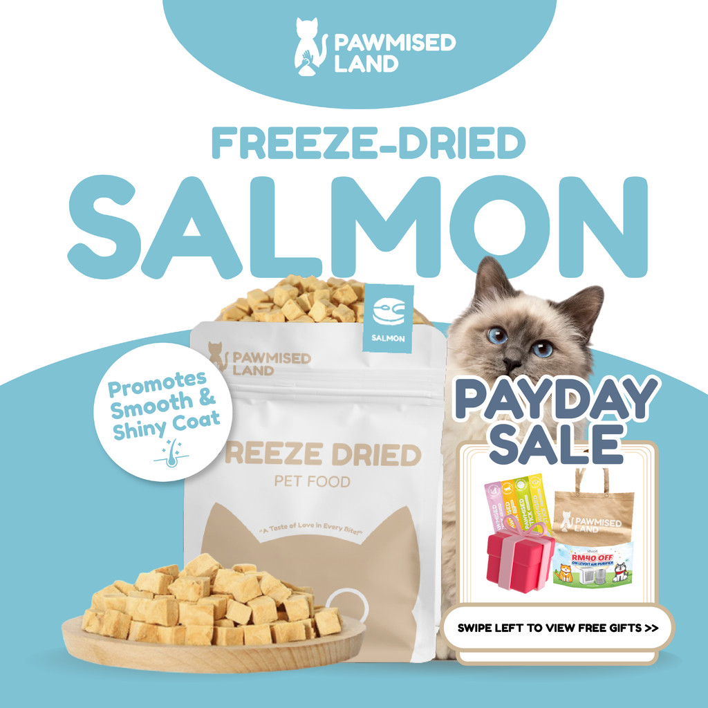 PawmisedLand Catty Munchies - Salmon Freeze Dry Pet Food 125g Premium Treats Pet Food อาหารแมว Makan