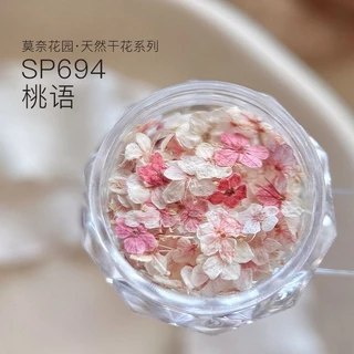 30แต่งเล็บดอกไม้แห้ง Monet Garden ประณีตห้ากลีบ วัสดุตกแต่งเล็บขนาดเล็ก