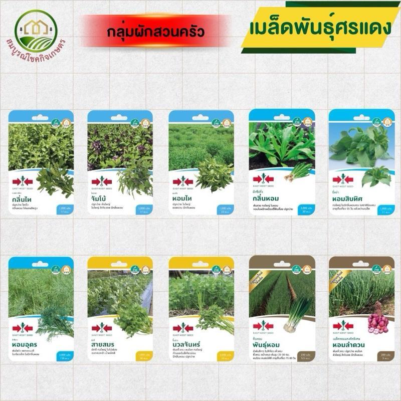 เมล็ดพันธุ์ศรแดง (ซองกระดาษเล็ก) กลุ่มผักสวนครัว กะเพรา โหระพา ผักชี ความงอกดี ปลูกง่าย ปลูกได้ทุกพื้นที่ ทุกฤดู