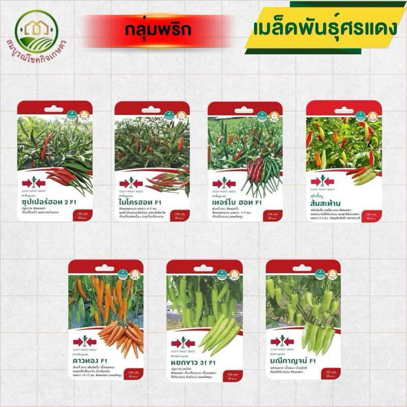 เมล็ดพันธุ์ศรแดง (ซองกระดาษเล็ก) กลุ่มพริก ขนาดทดลอง ความงอกดี ปลูกได้ทุกพื้นที่ ทุกฤดู