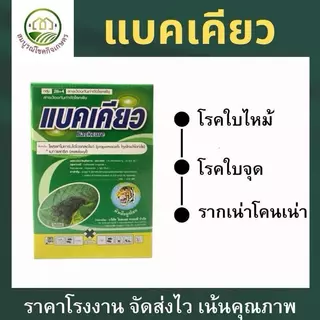 (ยกลัง 6/12 กก) แบคเคียว 2 พลังบวก ยับยั้งเชื้อราแบคทีเรีย ล้างไฟทอปเธอร่าทุเรียน รากเน่า โคนเน่า เน่าเละ ฉีดผ่าดอกได้