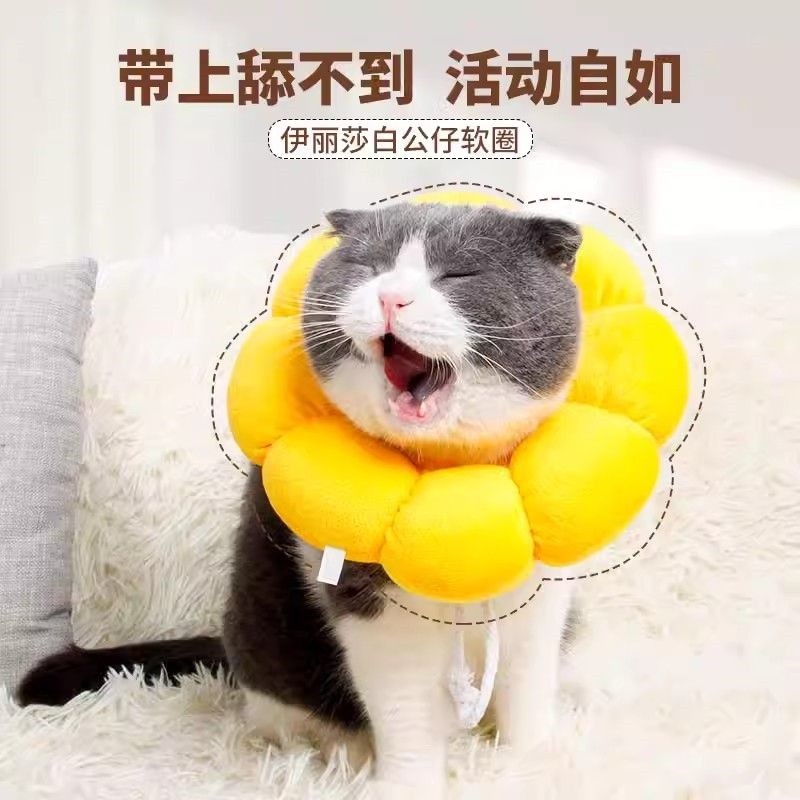 คอลล่าแมวกันเลีย คอลล่าแมว Elizabeth Collar Dog Cat Collar Collar Collar Collar Anti-licking Bite Co