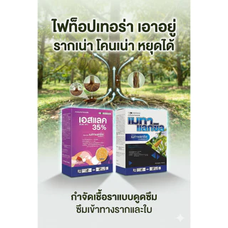 [แมมมอธ] 1กก เมทาแลกซิล 35 - เมทาแลกซิล 35% DS ขนาด 1 กิโลกรัม สารกําจัดเชื้อราประเภทดูดซึม กำจัดไฟท็อป รากเน่า โคนเน่า