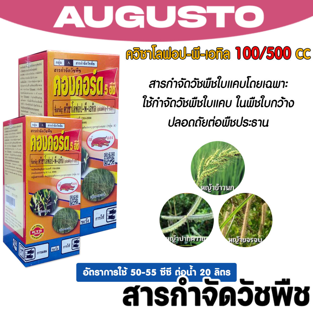 คองคอร์ด 5 อีซี 500/1000 ซีซี สารกำจัดวัชพืชใบแคบ สารควิซาโลฟอป-พี-เอทิล สำหรับนาข้าว แบรนด์เข้แดง K