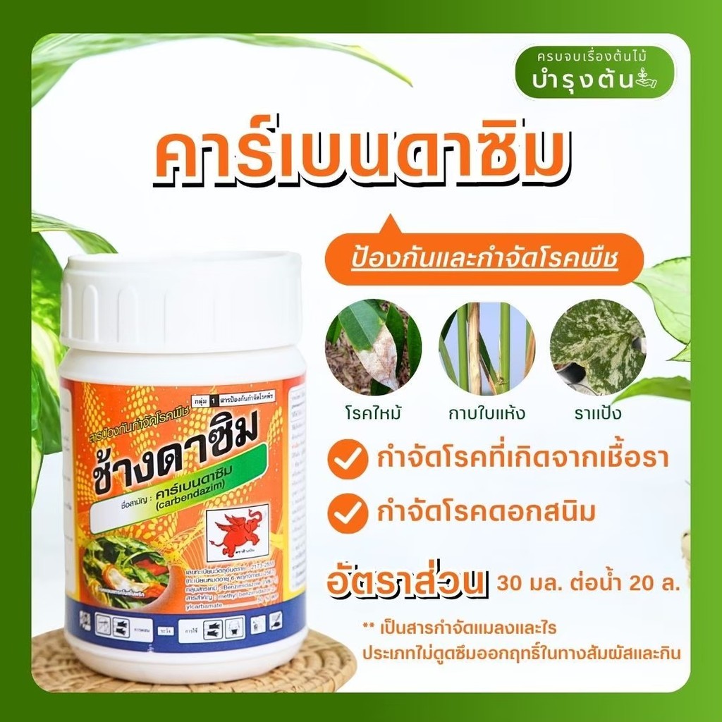 คาร์เบนดาซิม – ตราช้างดาซิม – Carbendazim – สารป้องกันและกำจัดโรคพืช (เชื้อรา)