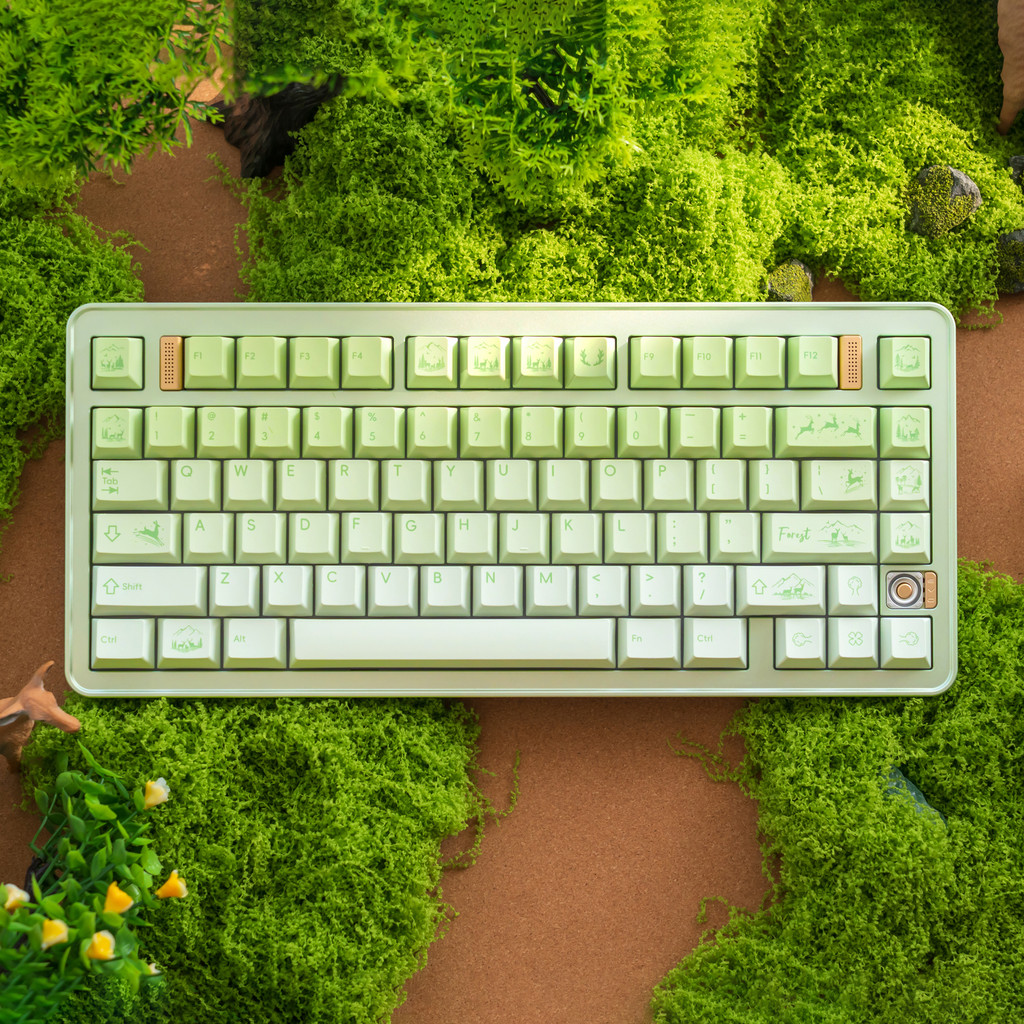 keycap keycap ใส Lofreeent < Luye Mori > PBT Keycap แป้นพิมพ์ความสูงจากโรงงานดั้งเดิมปุ่มกด 146+115 