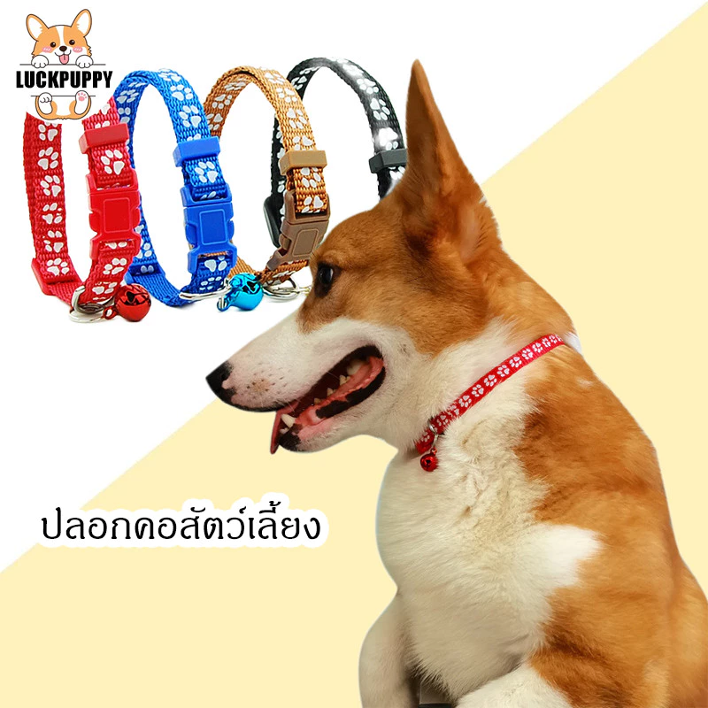 🔥 สินค้าใหม่ | ปลอกคอสุนัขลายอุ้งเท้าสีสันสดใส ติดกระดิ่ง | สำหรับทอยพุดเดิ้ล  สุนัขพันธุ์เล็ก โกลเด้น และสุนัขทั่วไป 🐶🔔 thumbnail 5
