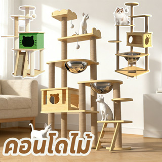 WePet คอนโดไม้ ที่นอนแมว คอนโดแมวหลังใหญ่หลายดีไซน์ ไม้สวยไร…