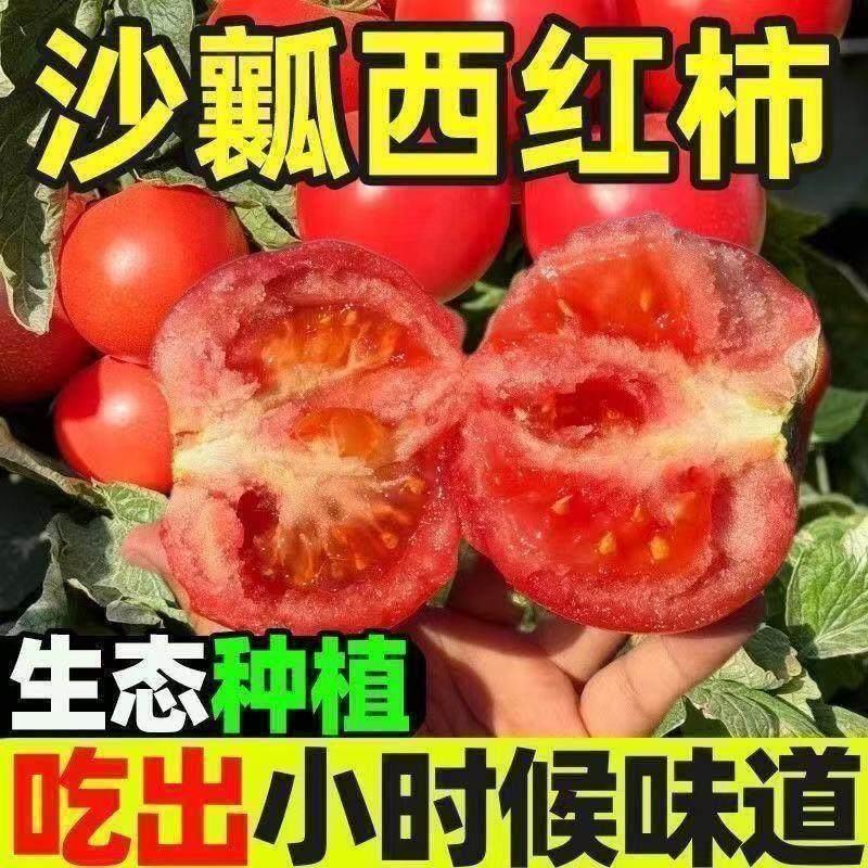 现货西红柿种子四季番茄种籽老品种大红果沙瓤西红柿高产田园庭院种植Tomato Seeds Four Seasons Tomato Seeds Old Varieties Big20260403