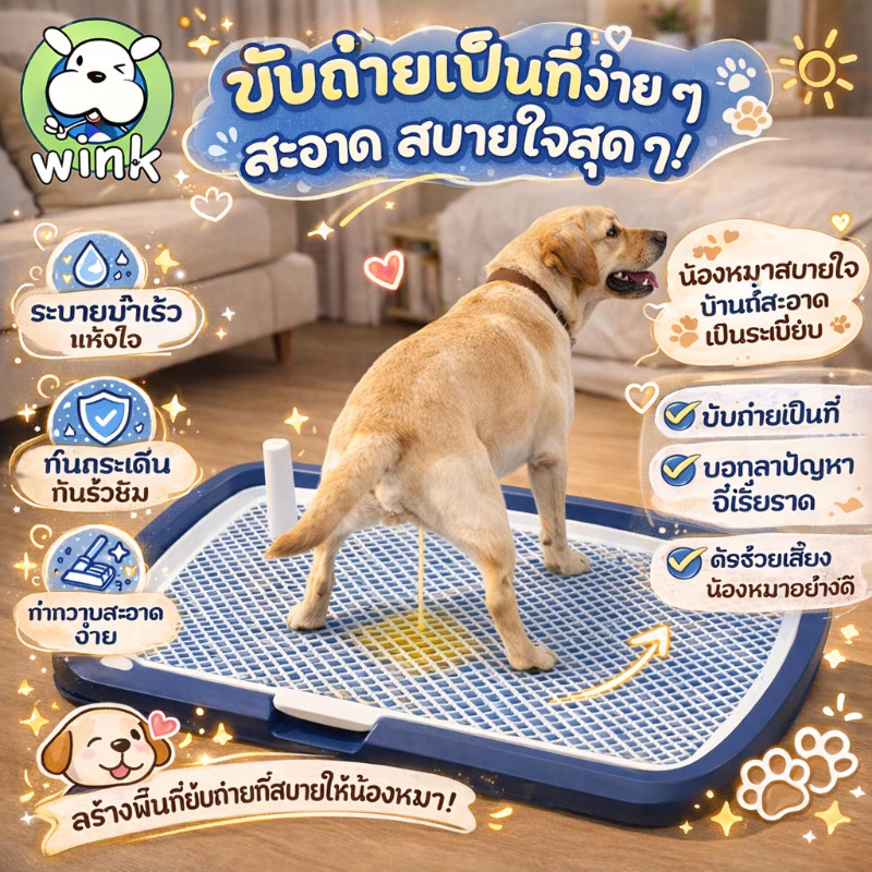 พร้อมส่ง🐶ห้องน้ำสุนัข 65*50*6.5cm ถาดฉี่สุนัข แบบมีเสา กระโถนในร่มแบบเรียบง่าย