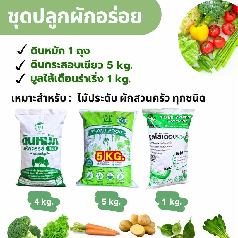 ชุดปลุกผักใบเขียว อร่อย (ดินหมัก ดินไม้ใบ มูลไส้เดือน)