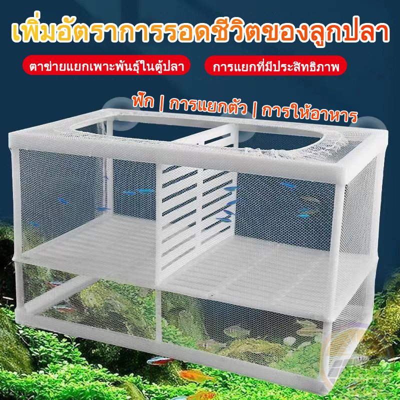 🔥ทำความสะอาดง่าย🔥 กรงแยกปลา กล่องแยกปลาวัยอ่อน ตู้ปลาขนาดเล็กและใหญ่ ระบายอากาศได้ดี ติดตั้งและทำความสะอาดง่าย