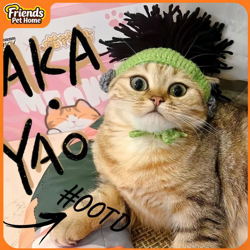 แมวแมวสัตว์เลี้ยงหมวกตลก Hairy Cat Sphinx หมวกสุนัขน่ารัก Punk หมวกขนสัตว์ตลก Cross-Dressing