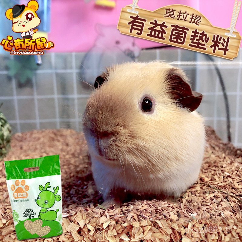 Decomposable Mora ระงับกลิ่นกาย Guinea Pig เพื่อนบ้านของฉัน Totoro ประโยชน์กลิ่น Shih Tzu Bear Litte