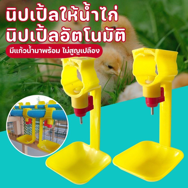 20PCS นิปเปิ้ลให้น้ำไก่ นิปเปิ้ลอัตโนมัติ นิปเปิ้ลให้น้ำนกกระทา ที่ให้น้ำอัตโนมัติสำหรับสัตว์ปีก ใช้สำหรับท่อน้ำ 6หุน