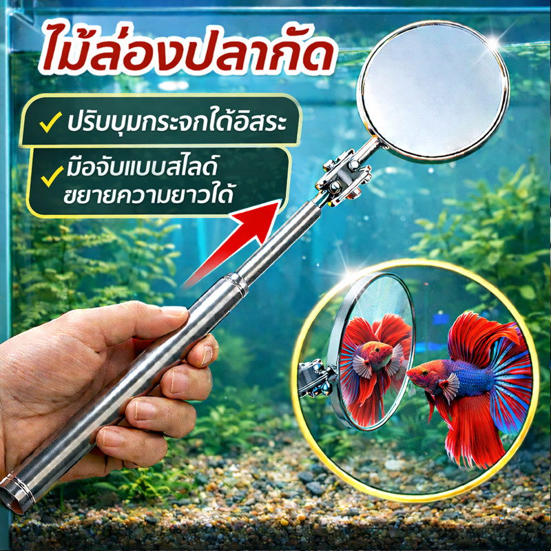 กระจกล่อปลา ไม้ล่อปลากัด ปลากัด กระจก พกได้ยึดได้ ราคาถูกๆ เพิ่มสีสันสวยงาม พร้อมส่งจากไทย
