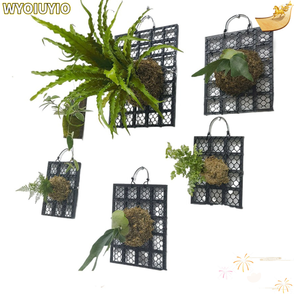 WYOIUYIO แผงเฟิร์น Staghorn, กระดานปลูกพลาสติก Dendrobium, กระดานเตียงพืชหนาตกแต่งสวนแขวน