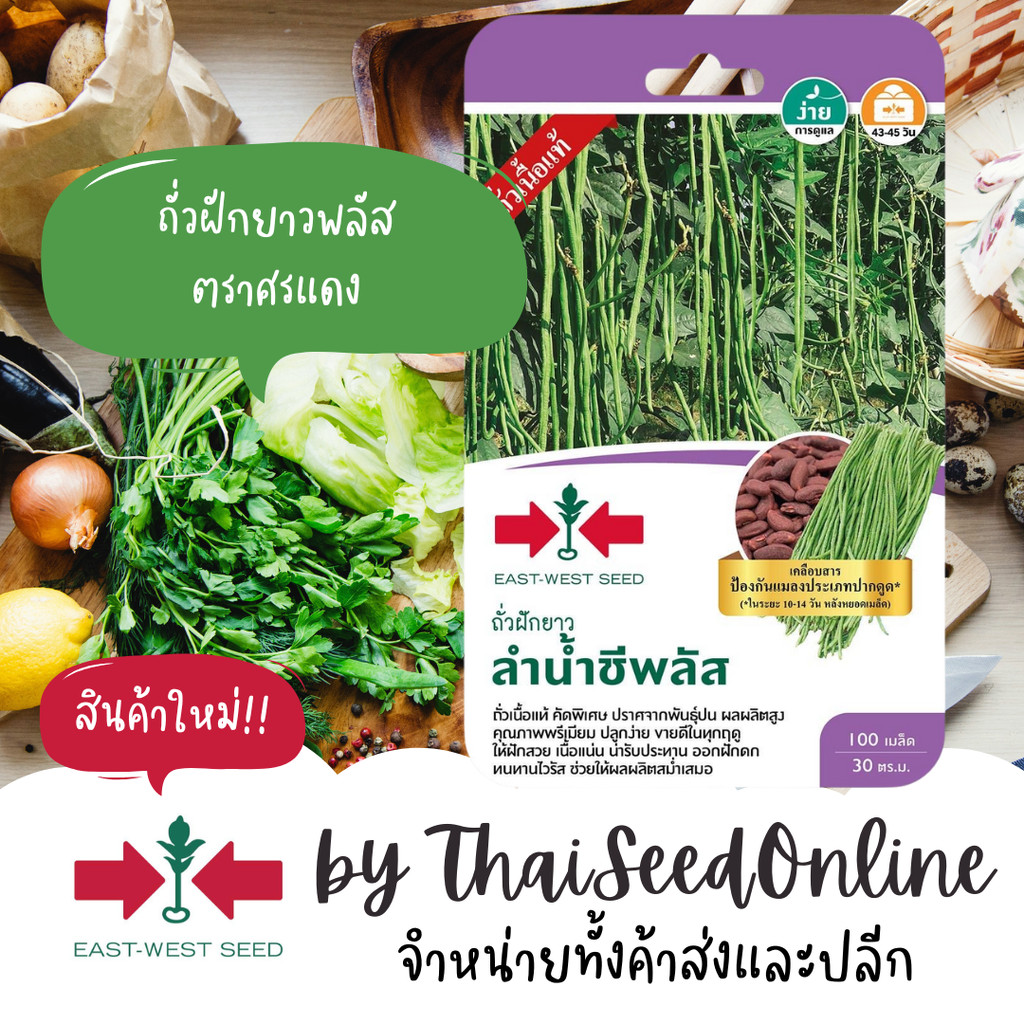 GGEW เมล็ดพันธุ์ซฟ เมล็ดพันธุ์ถั่วฝักยาว ลำน้ำชีพลัส 100เมล็ด ตราศรแดง Yard Long Bean
