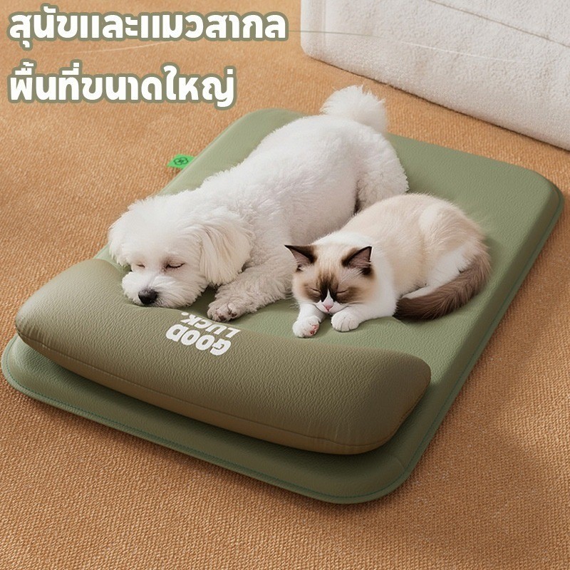 ที่นอนสุนัขกันน้ำ เบาะแมว พร้อมหมอน ทำจากเมมโมรี่โฟม ระบายอากาศได้ เบาะนุ่ม รุ่นกันน้ำกันรา ล้างได้ ใช้ได้ทุกฤดู - รูปที่ 4