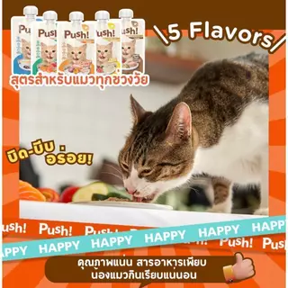[ยกกล่อง 10 ซอง] Push พุช อาหารเปียกแมว สูตร Complete & Balanced เนื้อมูสนุ่ม ทานง่าย ขนาด 100 กรัม