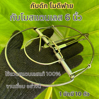 กับหนูขนาด 4 นิ้ว 10 ชิ้น 120 บาท โมดิฟาย ใช้ดักหนูนา หนูพุกใหญ่ โมดิฟายที่เสียบเหยื่อพร้อมใช้งาน ดีดแรง ดีดแม่น แน่นอน