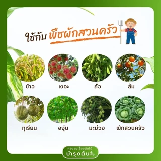 คาร์เบนดาซิม – ตราช้างดาซิม – Carbendazim – สารป้องกันและกำจัดโรคพืช (เชื้อรา)