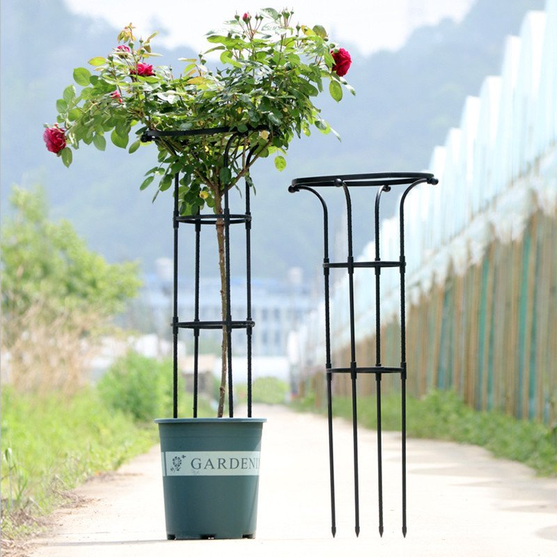 Rose Moon สีเขียวกลางแจ้งวงกลมพืช Vine Bracket ปีนเขาเห็ด Rose ร่มเดี่ยวสวน Vine กรอบ Clematis ปีนเข