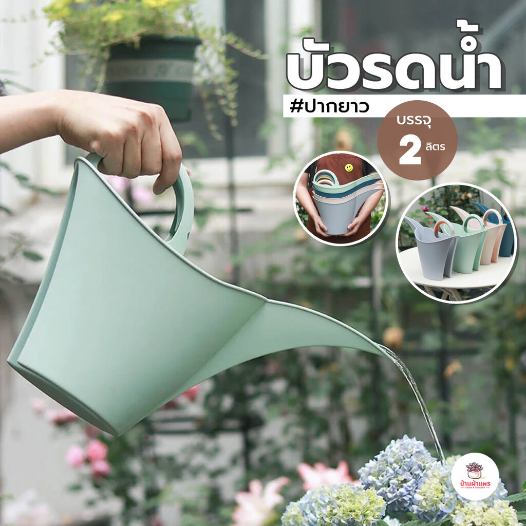 บัวรดน้ำ มหัศจรรย์ การดน้ำปากยาว กระบองเพชร ไม้อวบน้ำ Cactus&Succulent