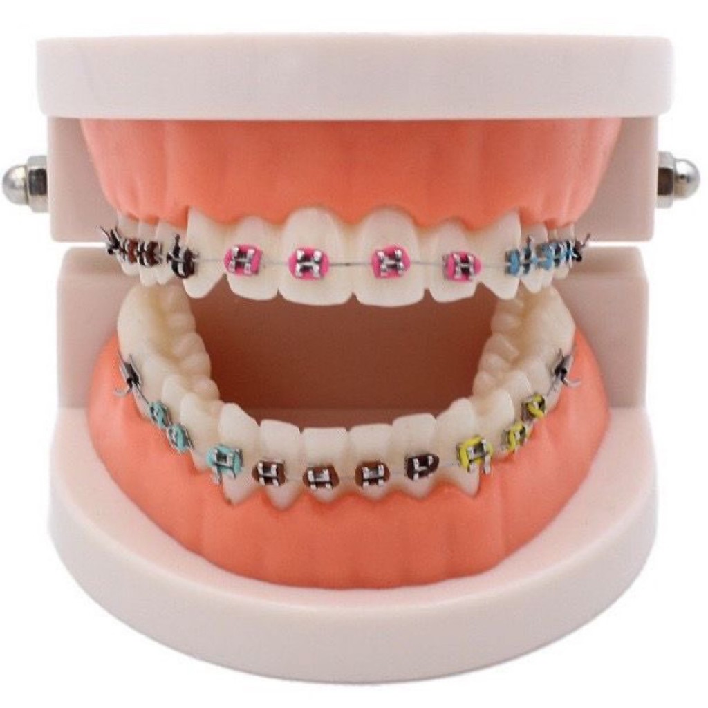 Spot Goods#Dental orthodontic bracket color correction model teaching practice dental mold0415hw