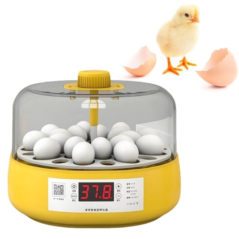 ตู้ฟักไข่เปิดไข่อัตโนมัติ - ความจุไข่ 18 ฟองพร้อมระบบควบคุมอุณหภูมิความชื้น 360 ดู