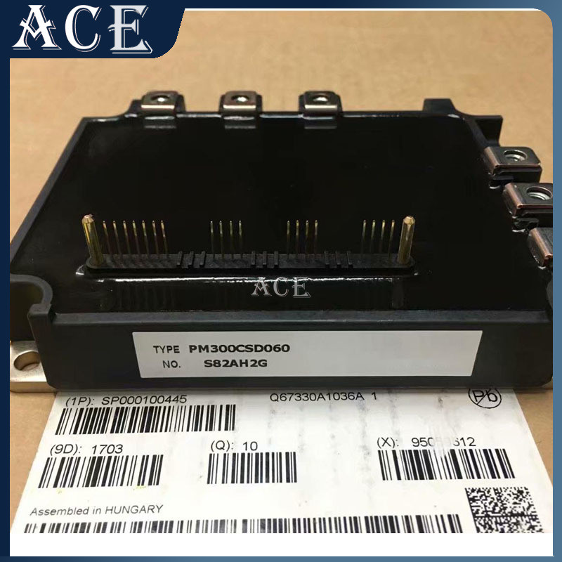 PM300CSD060 PM200CSD060 PM100CSD060 PM300CSD060-5 PM200CSD060-5 PM100CSD060-5 IGBT ฟังก์ชั่นโมดูล