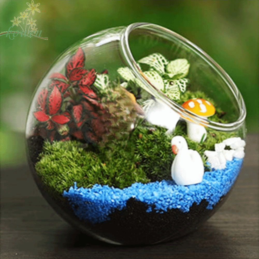 KOWEN แจกันแก้วใส,แจกันแก้ว Borosilicate โปร่งใสเฉียง,ภาชนะบรรจุลูกบอลแก้ว Borosilicate 8/10/12/16 ซม.ล้างพืช Terrarium สวน