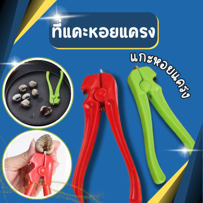 ที่แคะหอยแครง ที่เเกะหอยแครง ที่เเกะเปลือกหอยแครง ที่แงะหอยแครง ที่แงะเปลือกหอยแครง