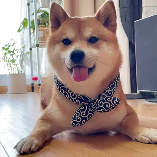 Pet-Eleven Japanese-Style Dog Bib สัตว์เลี้ยง Shiba Inu ผ้าพันคอผ้าพันคอสุนัขผ้าพันคอแมวตกแต่งปรับสัตว์เลี้ยงตกแต่ง