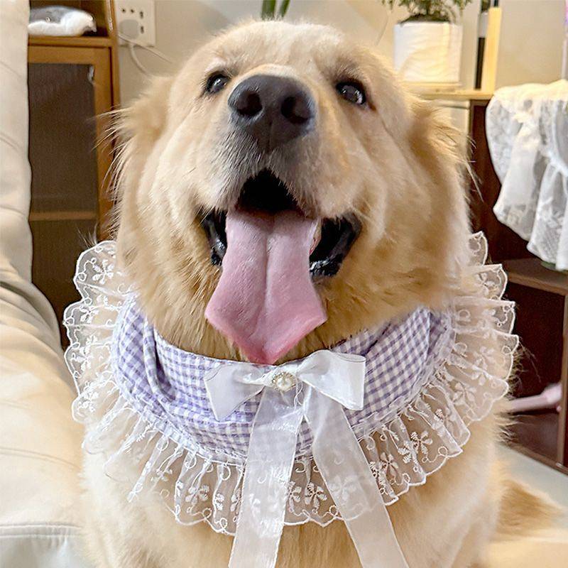 Pet New Scarf Saliva Bib Ornament Cute Pet Decoration Small Lace Medium Large Dog Golden Retriever/B