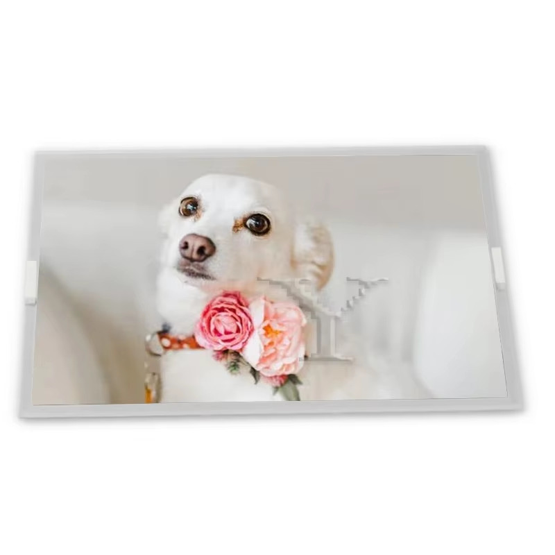 ขายดีที่สุด G170EG01 V.0 17" 1280*1024 CCFL Touch LCD Screen Electronics Stock