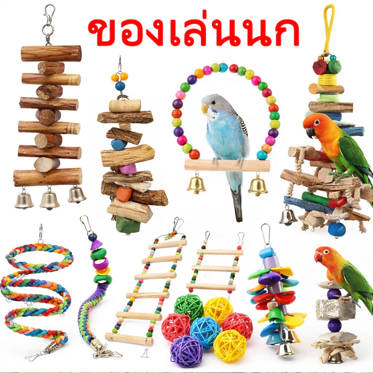 ของเล่นนก นกแก้ว ของตกแต่งกรง ของใส่กรงนก เซต ของเล่นนกแก้ว บันไดนกแก้ว บันไดแขวน ลูกบอลหวายของตกแต่งกรง ผ่อนความเครียด