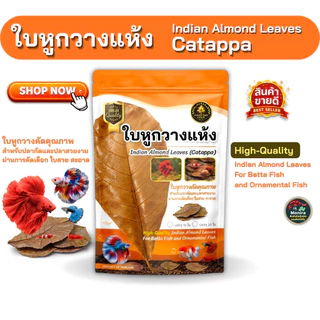 ใบหูกวางแห้ง คัดเกรดพรีเมียม ใบใหญ่ เรียบ สะอาด สำหรับปลากัดและปลาสวยงาม (บรรจุ 10 ใบ / 20 ใบ)