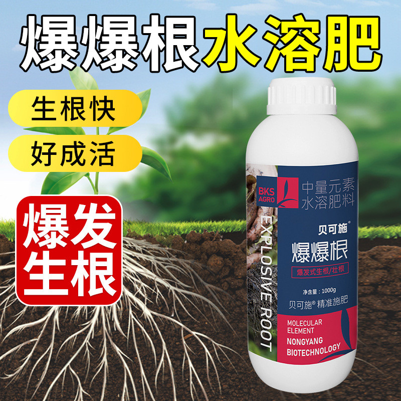 Burst Root Fast Root Liquid Root Powder Root Burst Root ผมตัดครัวเรือน Universal 4.17