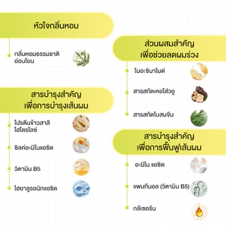 [ขายดี] [แพ็คคู่สุดคุ้ม1+1]แชมพู & ครีมนวด Cokki anti-hair loss Shampoo & Hair Conditioner 900 มล+500 มล