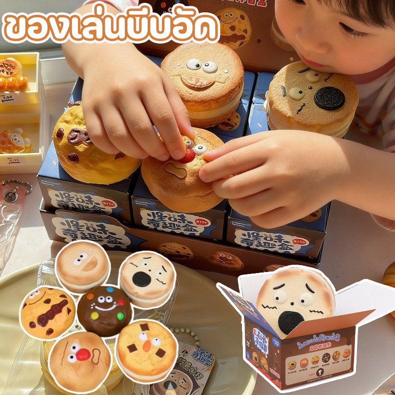 กล่องสุ่มสกุชชี่ คุกกี้ช็อกโกแลตชิป 6 สไตล์ คลายเครียด ของเล่นบีบ ของเล่นบีบอัด