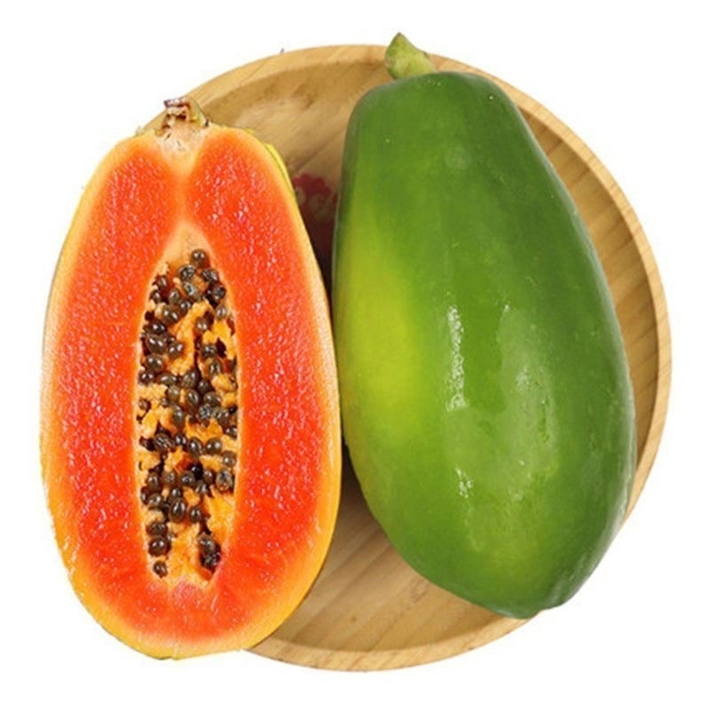 พันธุ์แคระ 20 เมล็ด Papaya | ปลูกในกระถางง่าย โตไว ให้ผลหลายรุ่น หวานและปลอดภัย