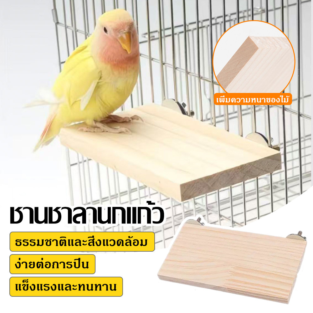 แท่นวางไม้ สําหรับนกแก้ว กระรอก หนูแฮมสเตอร์ แพลตฟอร์ม