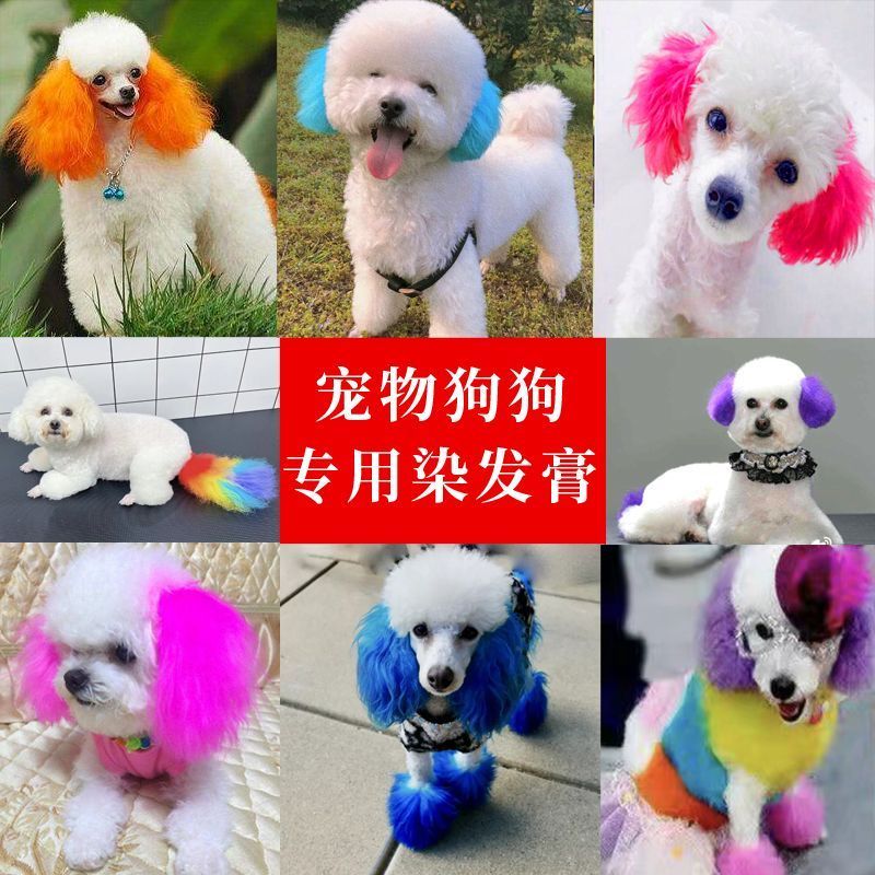 Meibo Handy Tool Tail Dyeing Dog Dyeing 4.21 Dyeing Thai Dyeing Agent Cream Maodi Bear Hairy Ears Bl