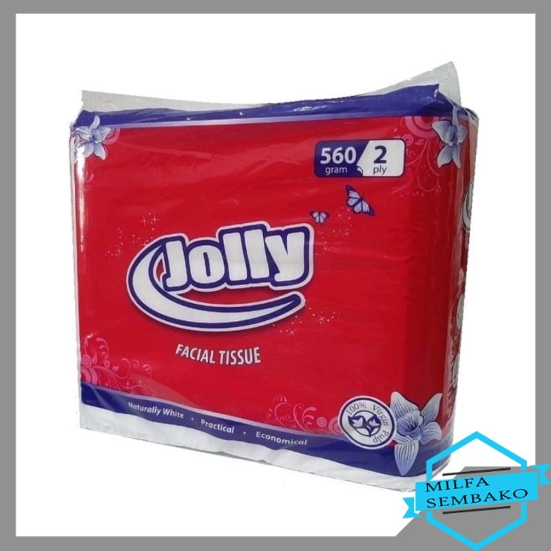 HS672 Jolly Tissue Kiloan 2Ply 560g Soft Natural Fiber